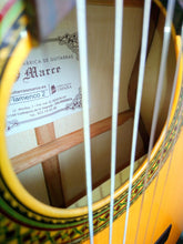 Cargar imagen en el visor de la galería, Marce FLAMENCO 2